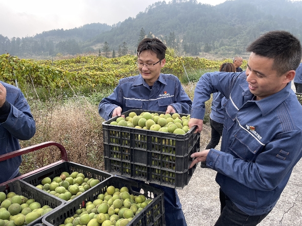 县委组织部安排南方电网荔波供电局派驻乡村振兴驻村第一书记杨欣运到