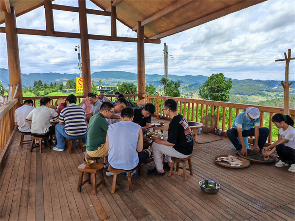 爱游戏丹寨：茶香引客来 茶旅火乡村(图4)