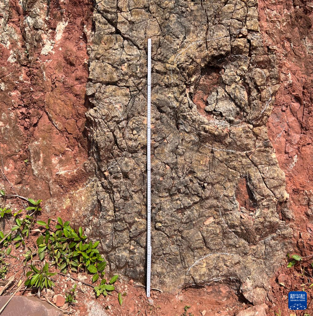 科学家发现早侏罗世重要恐龙足迹组合(图2) 科学家发现早侏罗世重要恐龙足迹组合(图2)