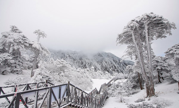 大理苍山雪景看醉游人 似冰封"水晶世界"