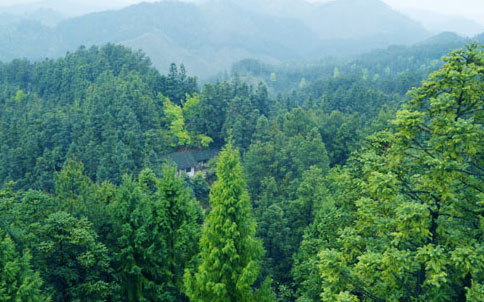 杉乡锦屏:风景名胜