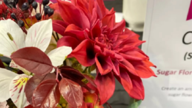 厉害了，贵阳甜品师！她做的翻糖蛋糕拿下国际金奖