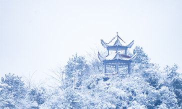 贵州多地飘雪 雪景美如画