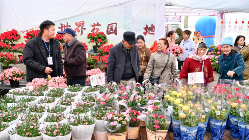 百里杜鹃：花卉产业开出“花样经济”