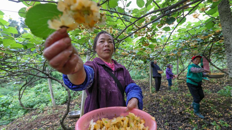 立夏过后农事忙